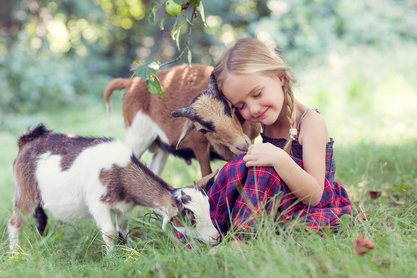 Claudia Krause - CK Photography - Kind mit Tieren